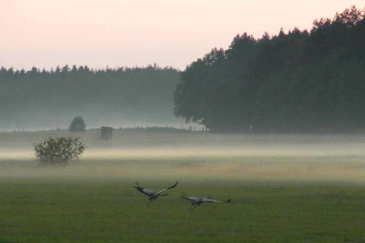 Ferienhaus An Der Wiese Luhmannsdorf Exteriör bild