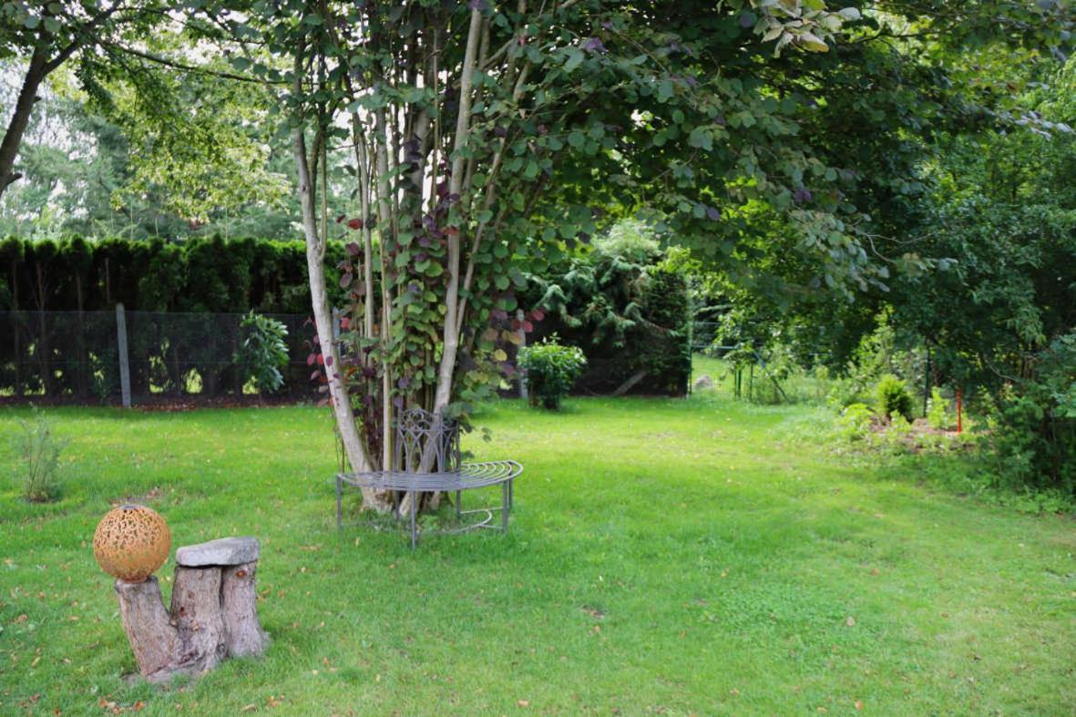 Ferienhaus An Der Wiese Luhmannsdorf Exteriör bild